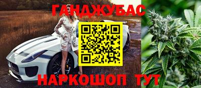 дживик Будённовск