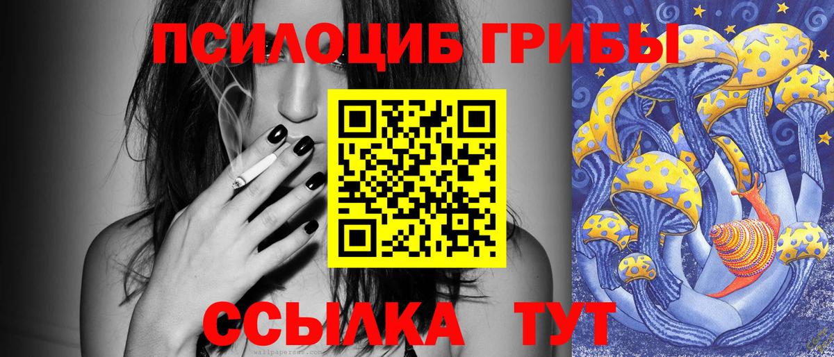 Лянтор  Псилоцибиновые грибы прущие грибы  Вход с VPN 