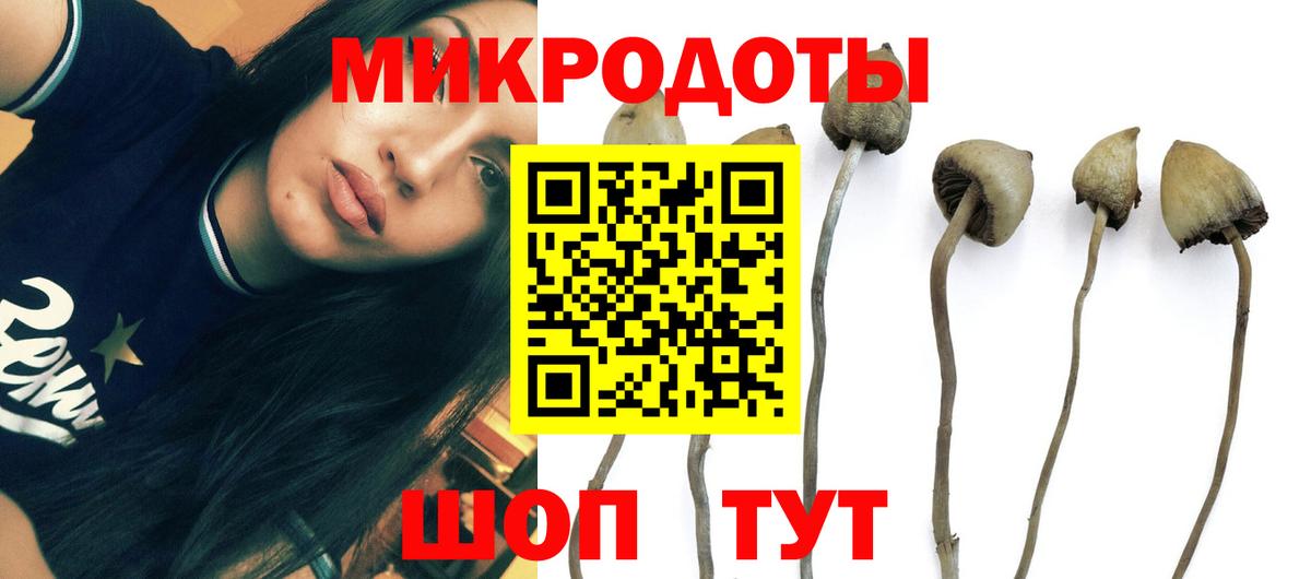 Галлюциногенные грибы Magic Shrooms Лянтор